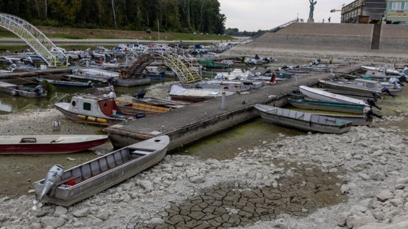 Sungai Danube Kering (Reuters)