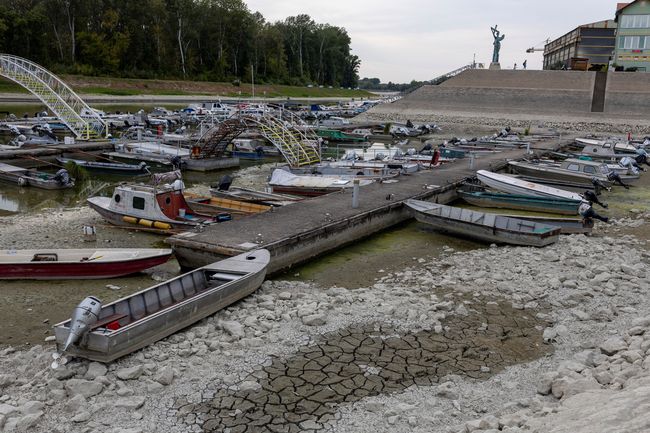 Sungai Danube Kering (Reuters)