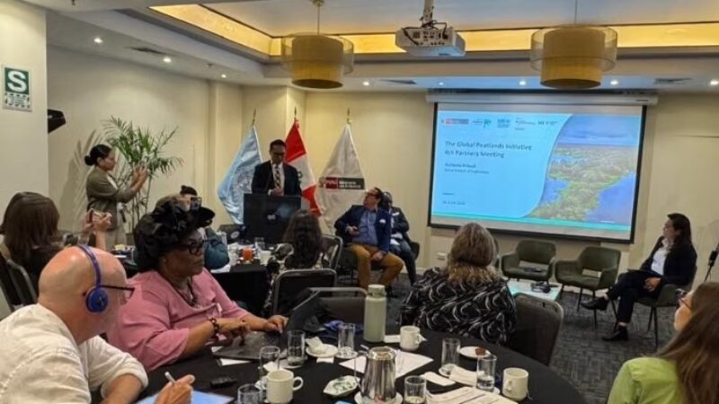 dok. Global Peatlands Initiative (GPI)