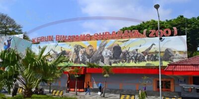 kebun binatang surabaya
