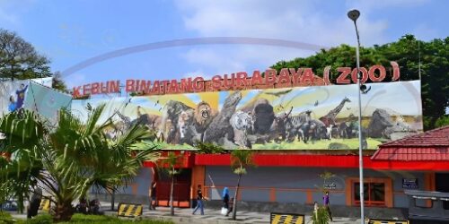 kebun binatang surabaya