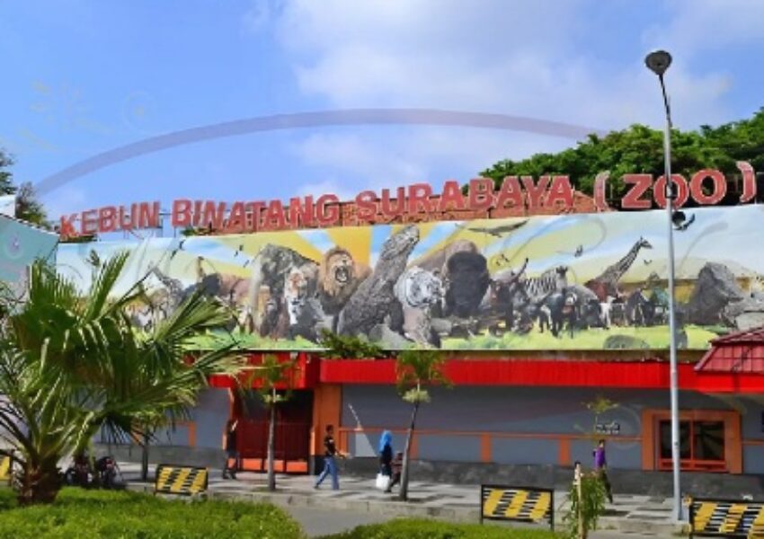 kebun binatang surabaya