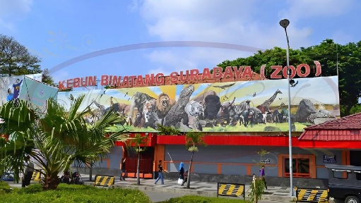 kebun binatang surabaya