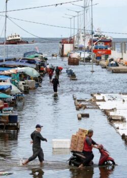 kenaikan muka air laut (Reuters_Willy Kurniawan)