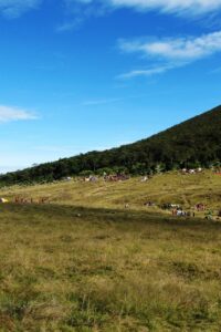 Alun-alun Surya Kencana Gunung Gede