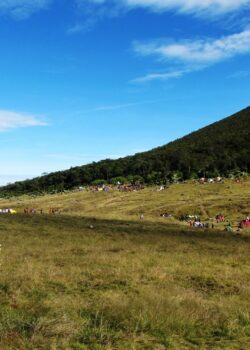 Alun-alun Surya Kencana Gunung Gede