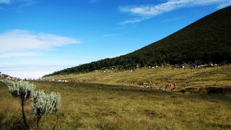 Alun-alun Surya Kencana Gunung Gede