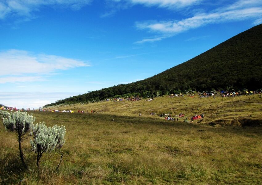 Alun-alun Surya Kencana Gunung Gede