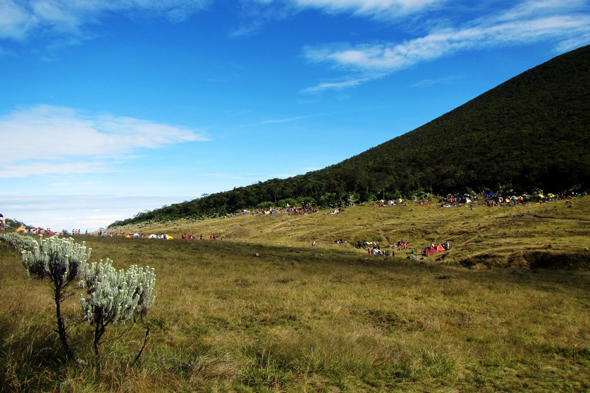 Alun-alun Surya Kencana Gunung Gede