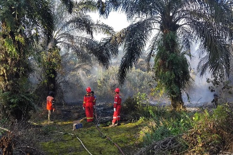 Dok PetroChina