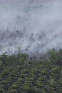 Kebakaran Hutan dan Lahan (Karhutla) Palangka Raya