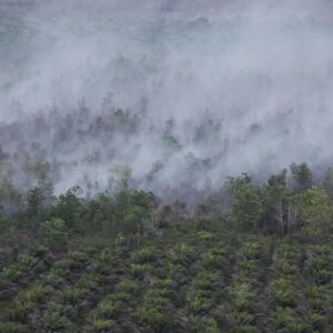 Kebakaran Hutan dan Lahan (Karhutla) Palangka Raya