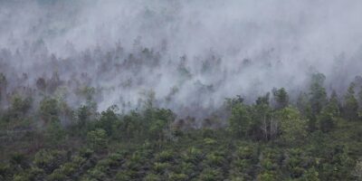 Kebakaran Hutan dan Lahan (Karhutla) Palangka Raya