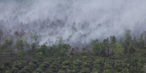 Kebakaran Hutan dan Lahan (Karhutla) Palangka Raya