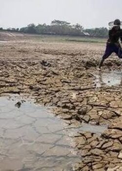 Ilustrasi kekeringan akibat El Nino