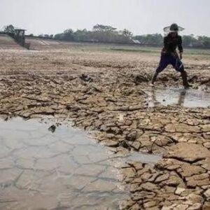 Ilustrasi kekeringan akibat El Nino