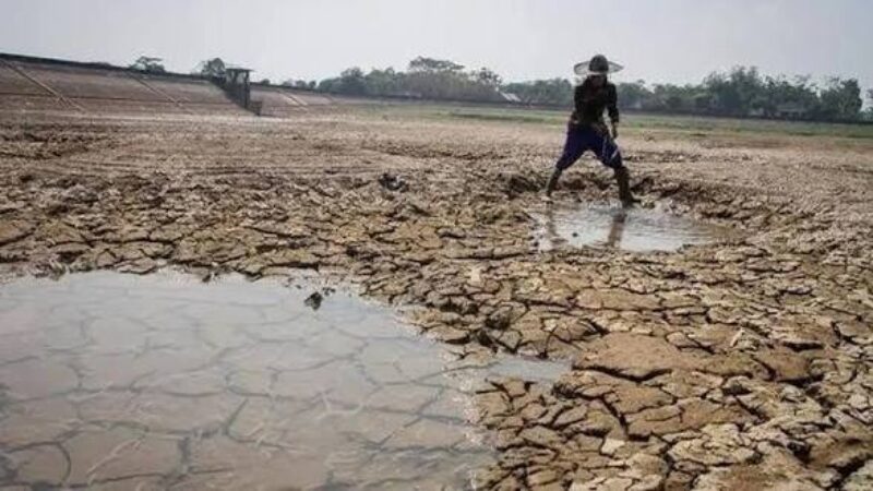 Ilustrasi kekeringan akibat El Nino