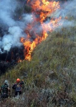 Karhutla TNBTS (dok BNPB)