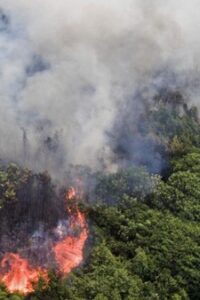 Karhutla di Desa Jungkal Sumsel