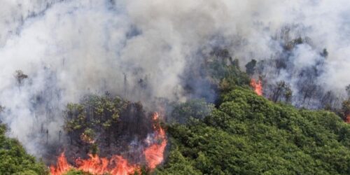 Karhutla di Desa Jungkal Sumsel