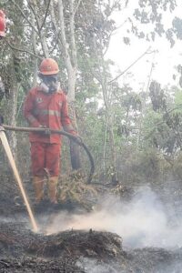 Karhutla di Nabire Papua Tengah