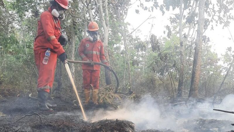 Karhutla di Nabire Papua Tengah