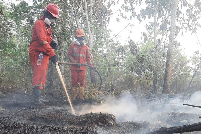Karhutla di Nabire Papua Tengah