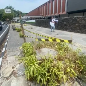 Penebangan pohon di Bandung (Tribun Jabar_Putri)