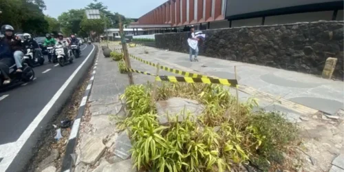 Penebangan pohon di Bandung (Tribun Jabar_Putri)