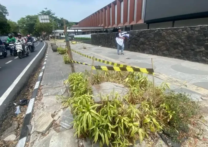 Penebangan pohon di Bandung (Tribun Jabar_Putri)