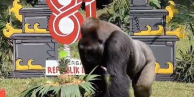 Satwa di Ragunan (dok Pemprov DKI)