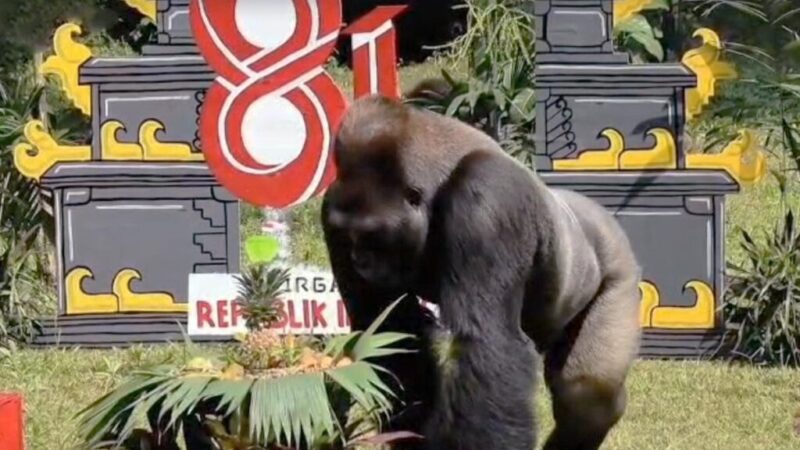 Satwa di Ragunan (dok Pemprov DKI)