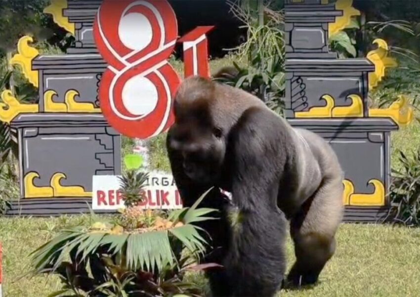 Satwa di Ragunan (dok Pemprov DKI)
