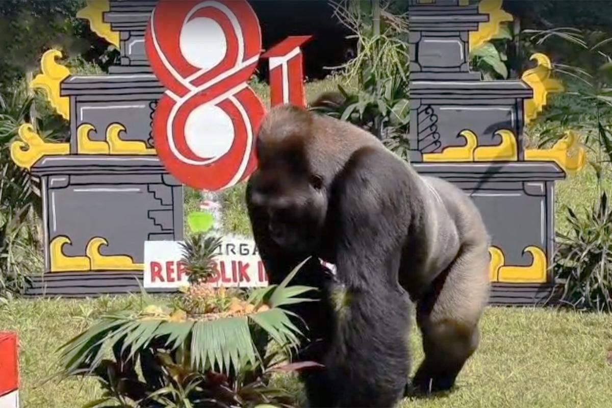 Satwa di Ragunan (dok Pemprov DKI)