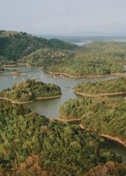 Bentang hutan dan perairan di Kalimantan Timur. Pexels Rizkynindra