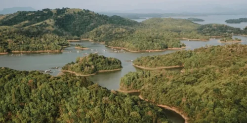 Bentang hutan dan perairan di Kalimantan Timur. Pexels Rizkynindra