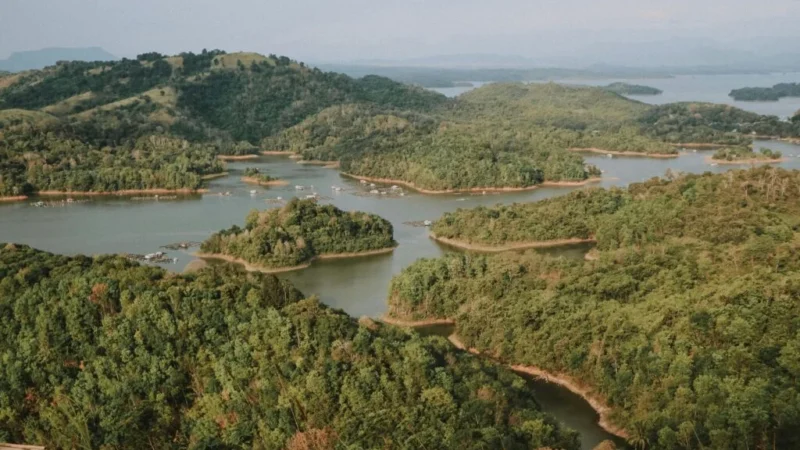 Bentang hutan dan perairan di Kalimantan Timur. Pexels Rizkynindra