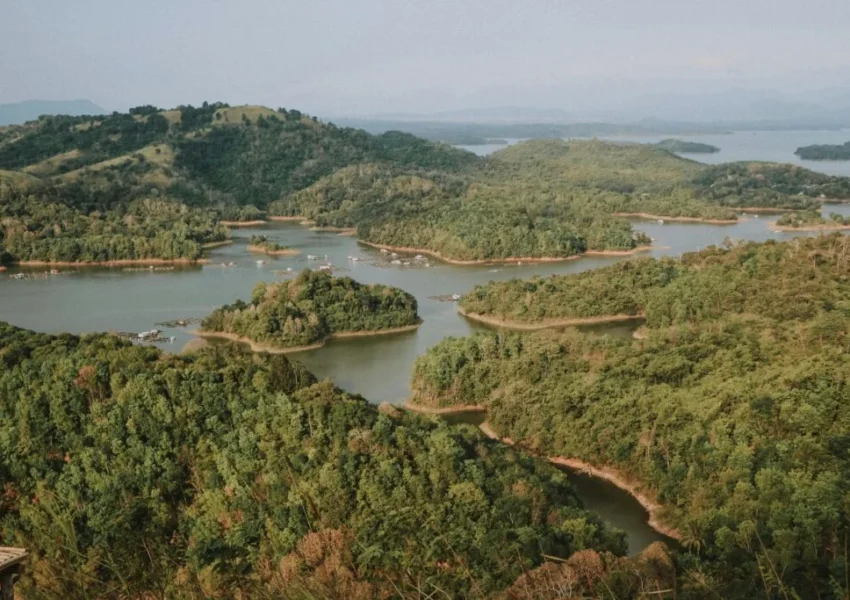 Bentang hutan dan perairan di Kalimantan Timur. Pexels Rizkynindra