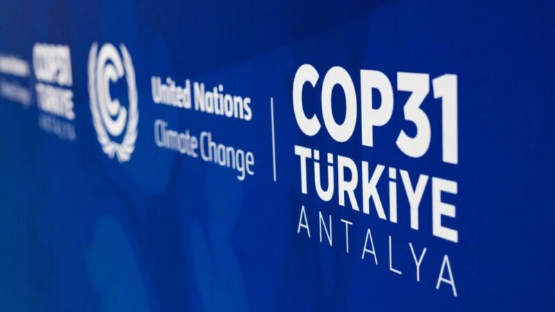 COP31