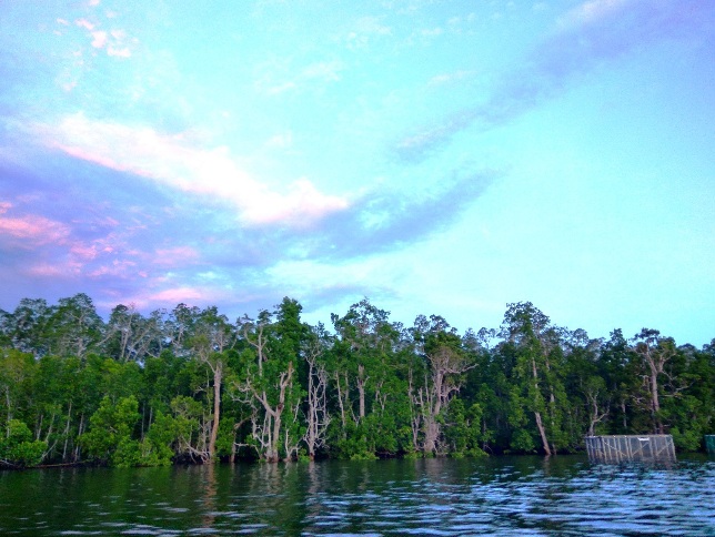 Dok; M Ambari - Mongabay Indonesia