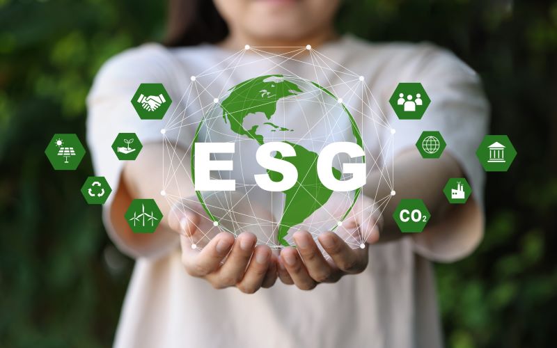 ESG (Ilustrasi)