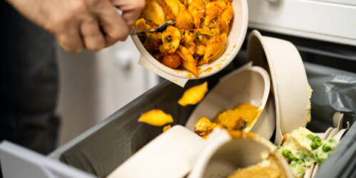 Food Loss and Waste