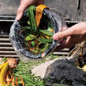 Food Loss and Waste