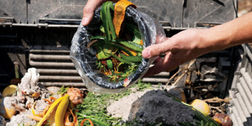 Food Loss and Waste