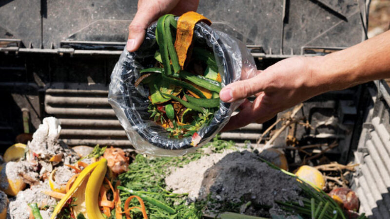 Food Loss and Waste