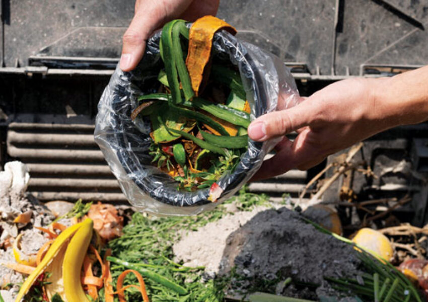 Food Loss and Waste