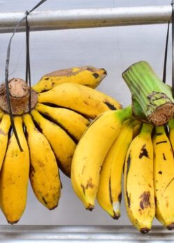 Ilustrasi Pisang