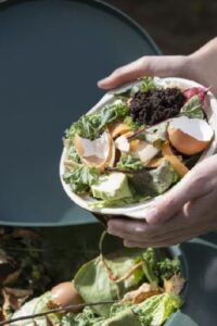 Sampah Organik (Ilustrasi)