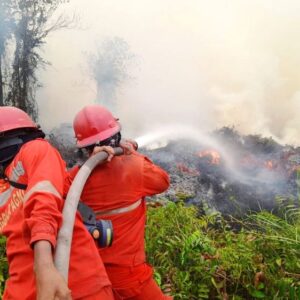 Dok Kemenhut