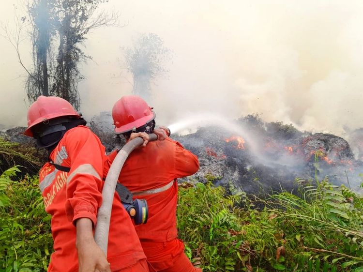 Dok Kemenhut